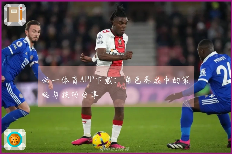 必一体育APP下载：角色养成中的策略与技巧分享